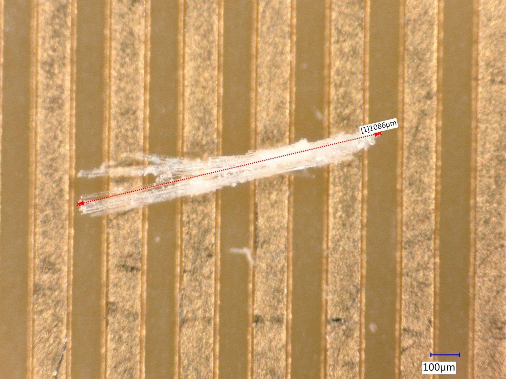 Particle contamination can be seen in the picture.  | © @Zestron