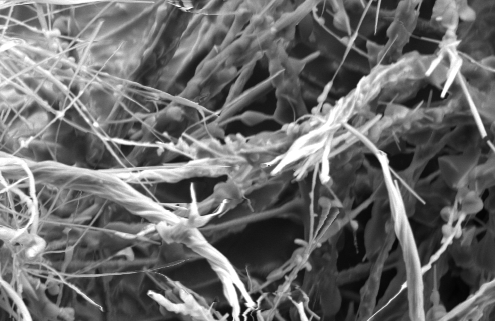 Needle-shaped corrosion products form on the edge of a solder pad. | © Zestron