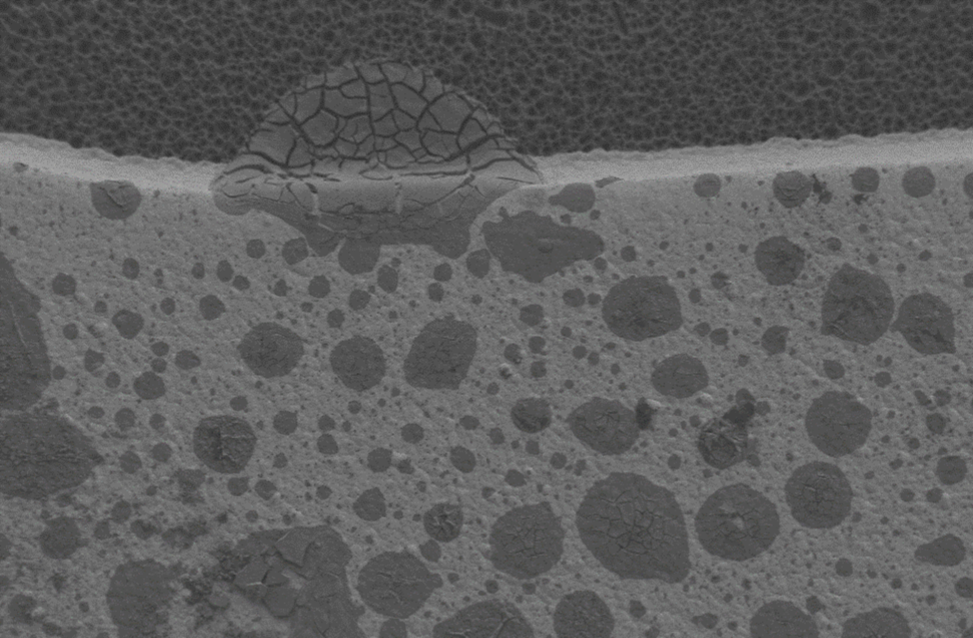 A damage pattern of nickel corrosion analysed with SEM-EDX can be seen. | © Zestron 
