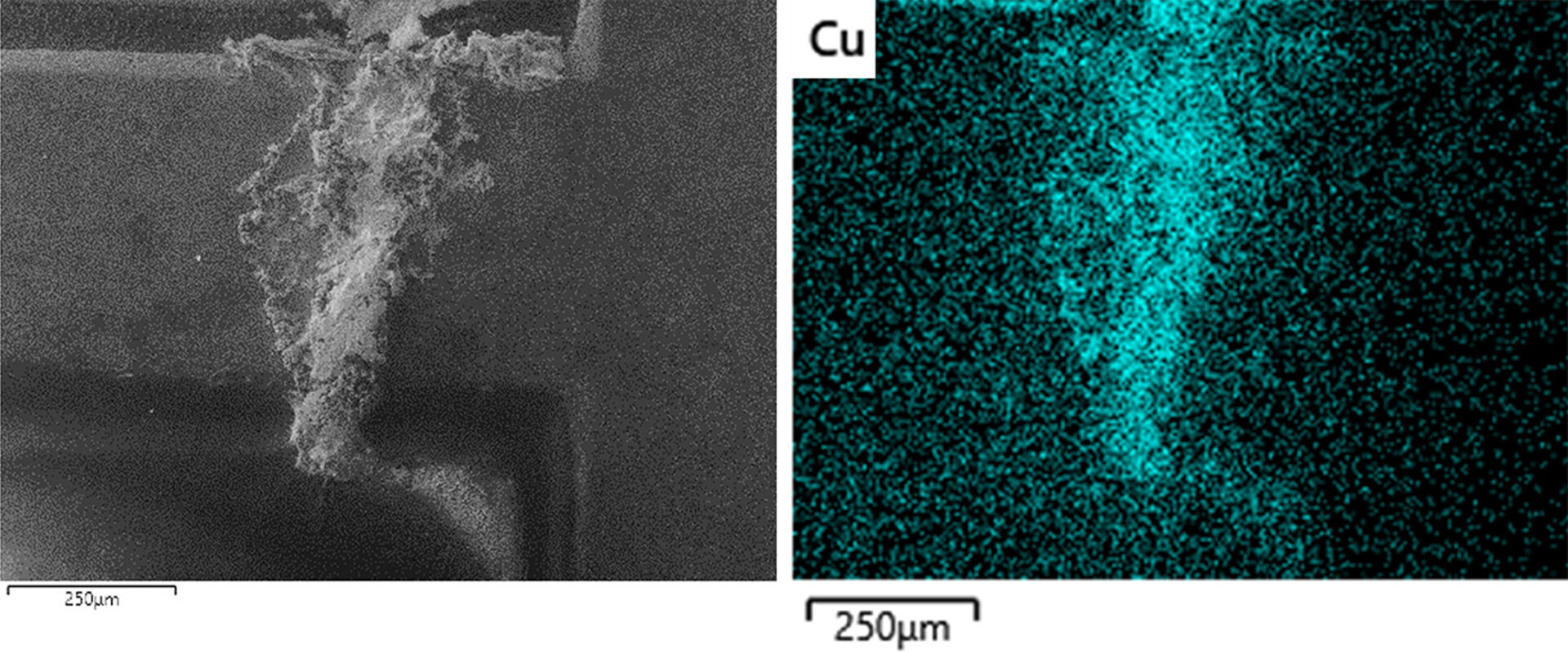 Optical examination of an electronic assembly with a microscope | © Zestron