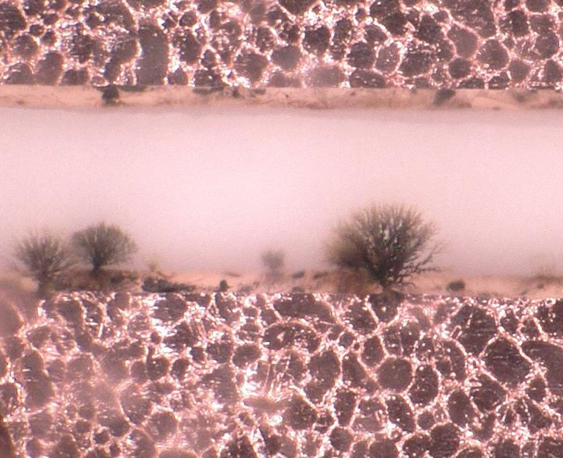 Assembly with dendritic defect images of the black spots. | © @ZESTRON