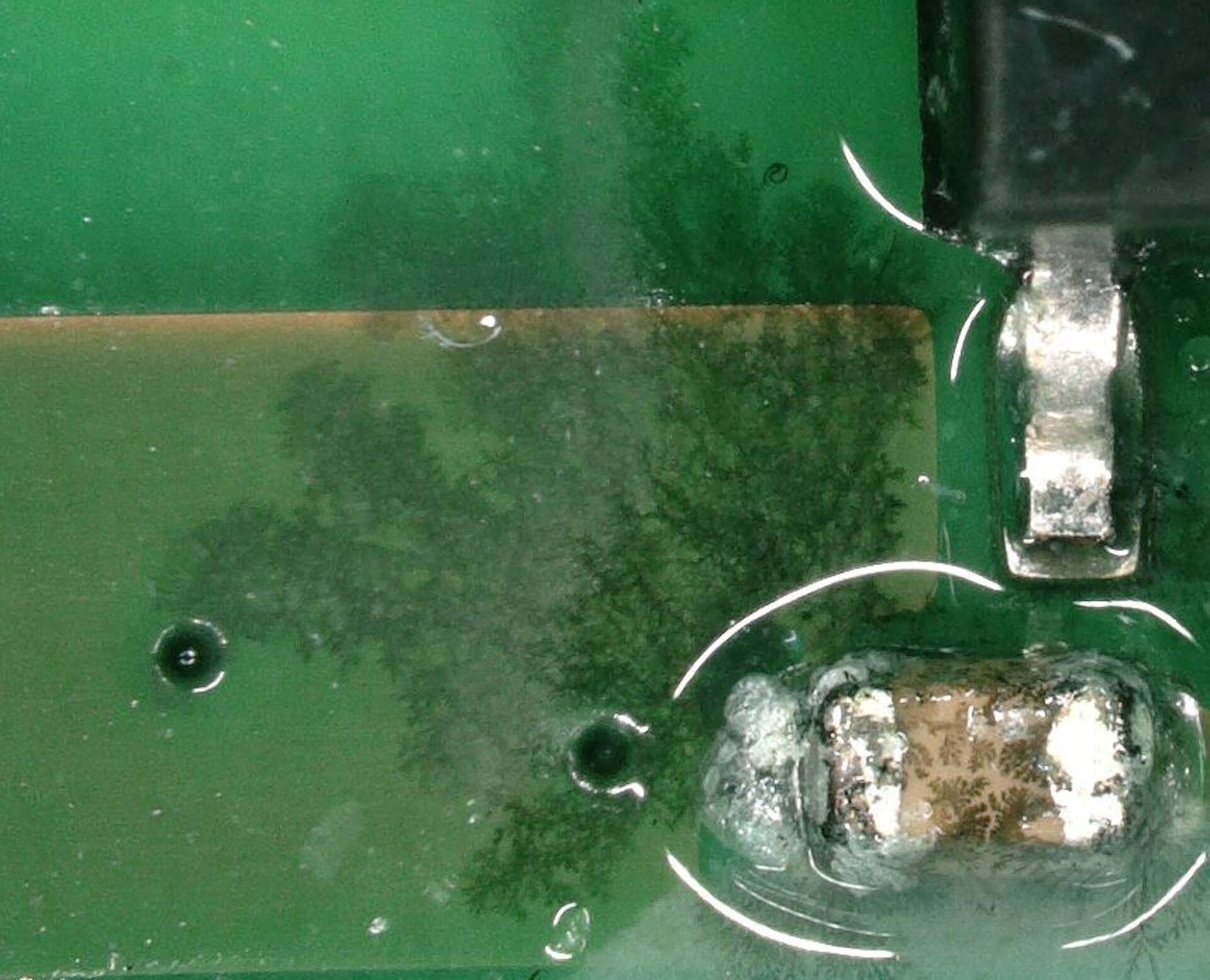 Dendritic growth on PCBA due to electrochemical migration causing short circuits. | © @ZESTRON
