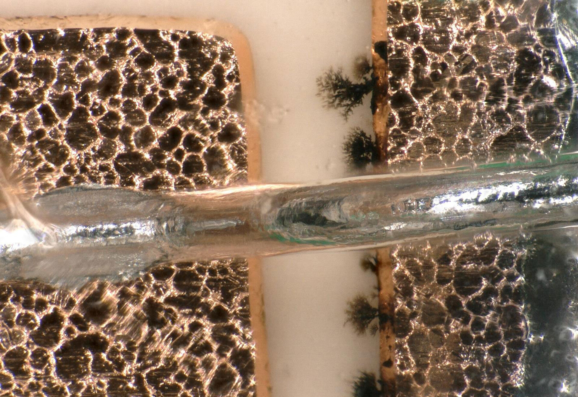 Influence of dendrites on the reliability and potting quality of power modules | © @ZESTRON