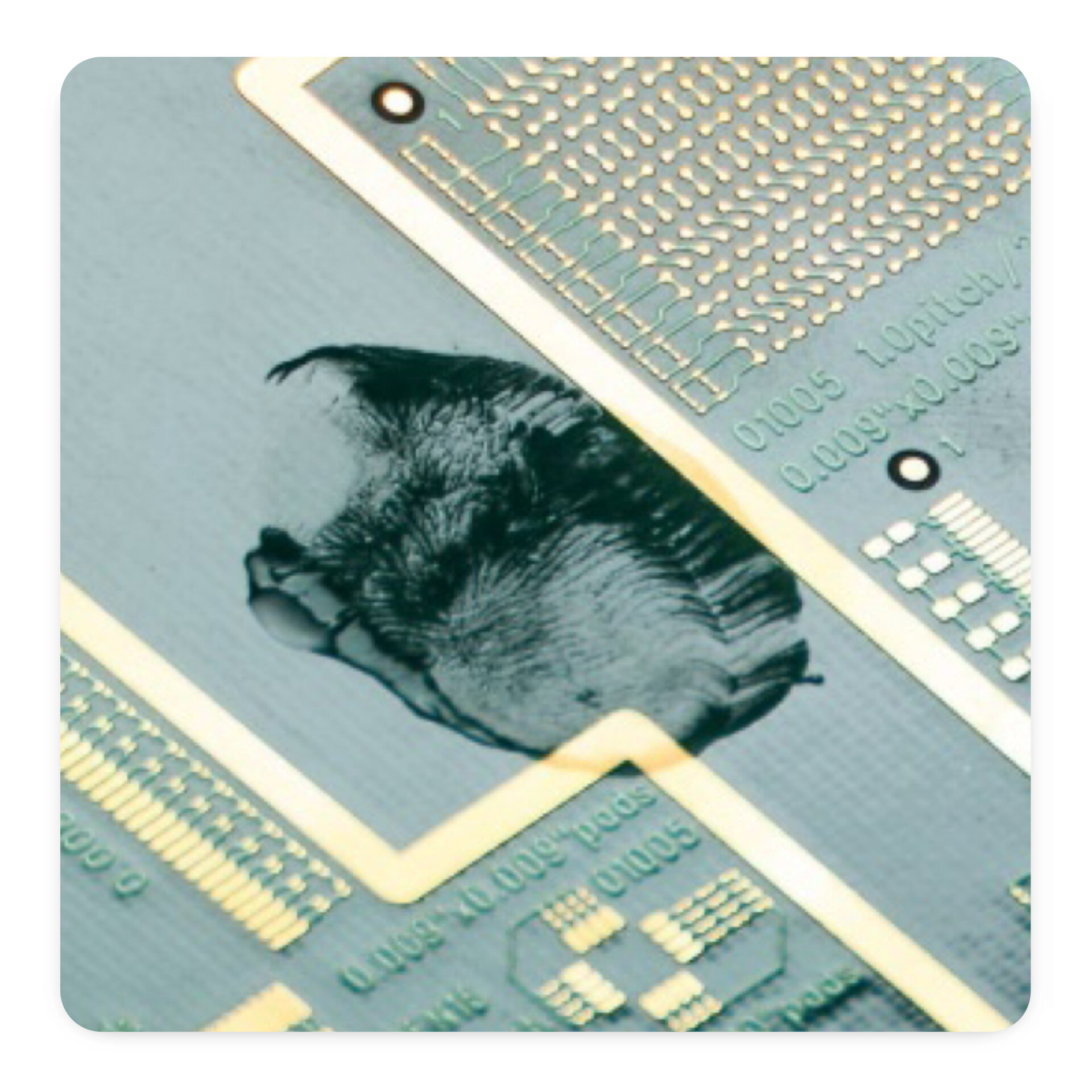 pcb with fingerprint smudge on it